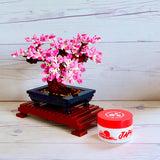 DOORS - WORLD POMADE JAPAN 100g